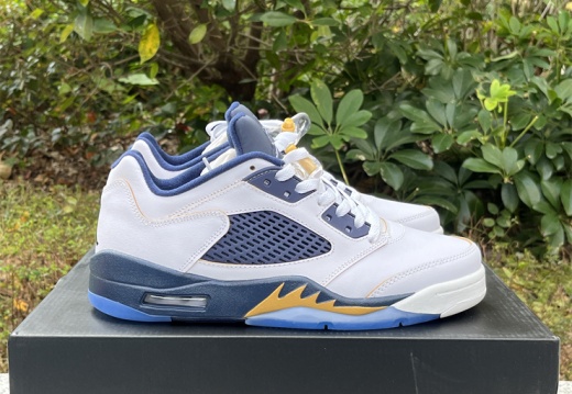 Air Jordan 5 Low  Dunk From Above  819171-135 36-47.5